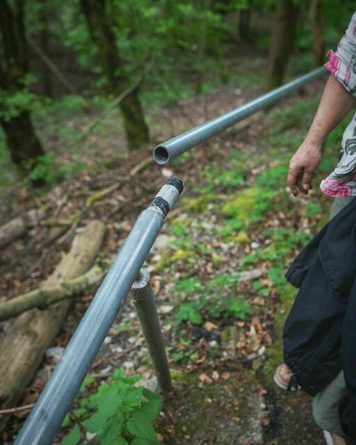 Foto: Beate Himmelein