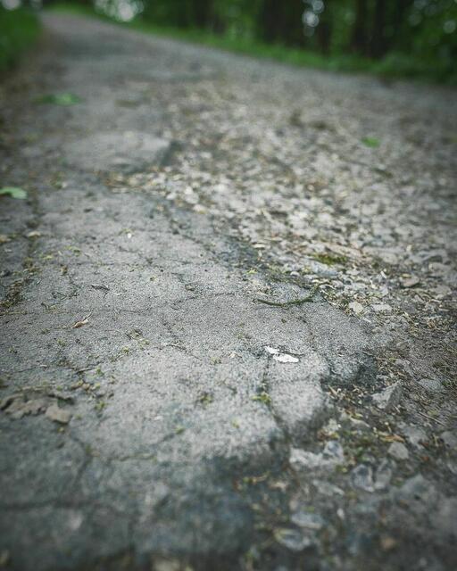 Foto: Beate Himmelein