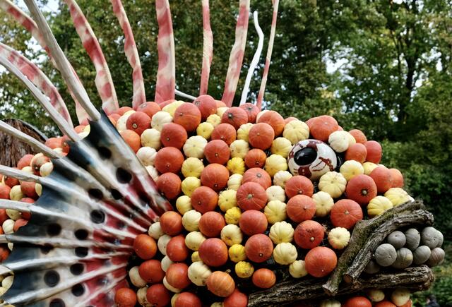 BLÜBA Ludwigsburg | Foto: ED