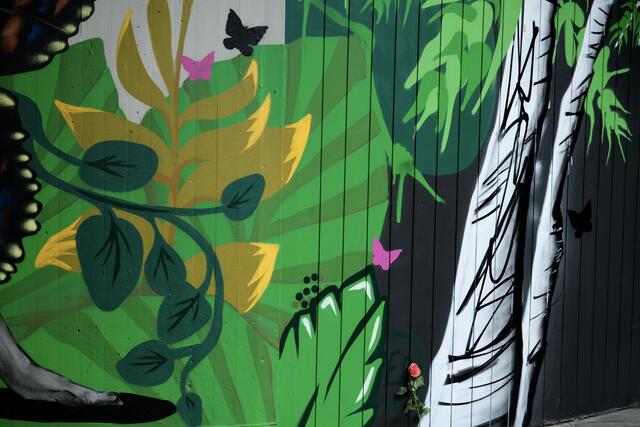 Graffiti am Wollhaus HN | Foto: ED