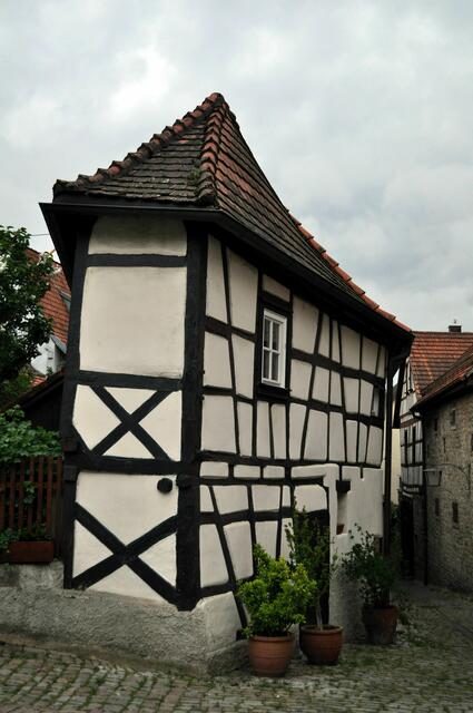 Das schmale Bügeleisenhaus. Es ist eines von nur wenigen Exemplaren auf der Welt.  | Foto: Daniela Somers