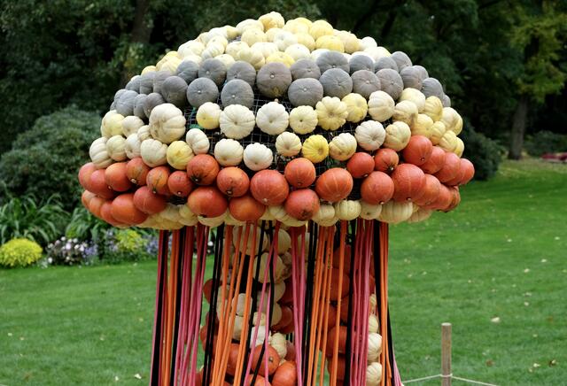 BLÜBA Ludwigsburg | Foto: ED