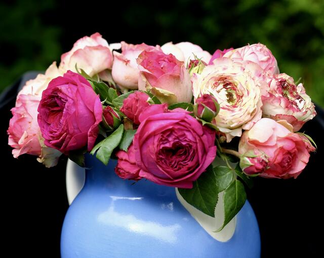 Rosenstrauß im Sommer | Foto: ED