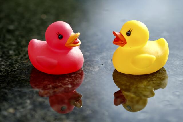 Quietsche-Enten | Foto: ED