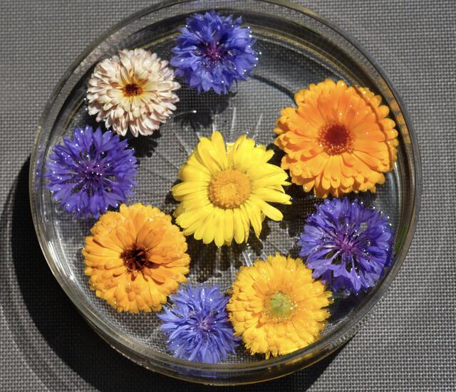 Sommerblumen | Foto: ED