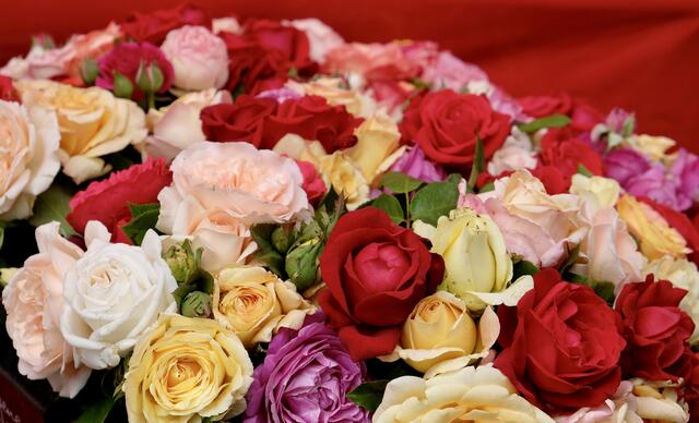 Rosenstrauß, sommerlich | Foto: ED