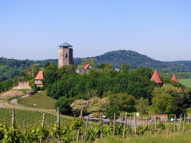 Burg Hohenbeilstein | Foto: sigischlottke