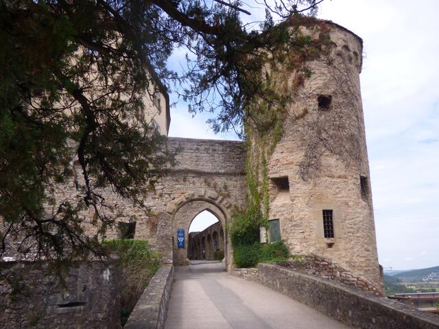 Burg Guttenberg | Foto: sigischlottke