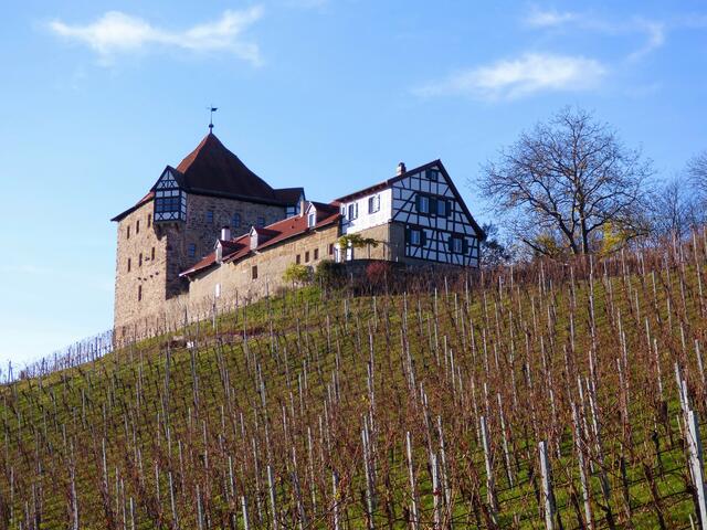 Blick hinauf zu Burg Wildeck, Abstatt | Foto: sigischlottke