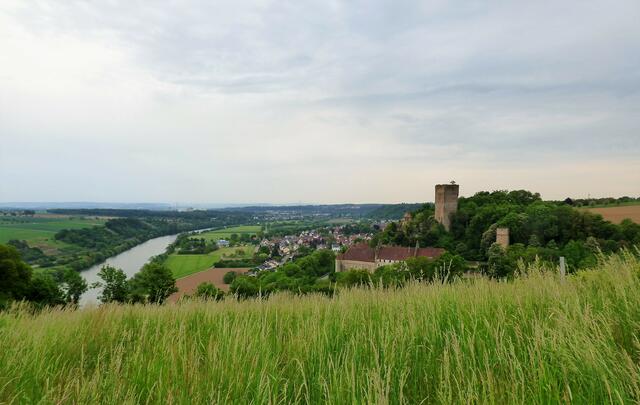 Burg Ehrenberg über dem Neckar und im Hintergrund ist Heinsheim zu sehen, zu dem die Burg gehört | Foto: sigischlottke