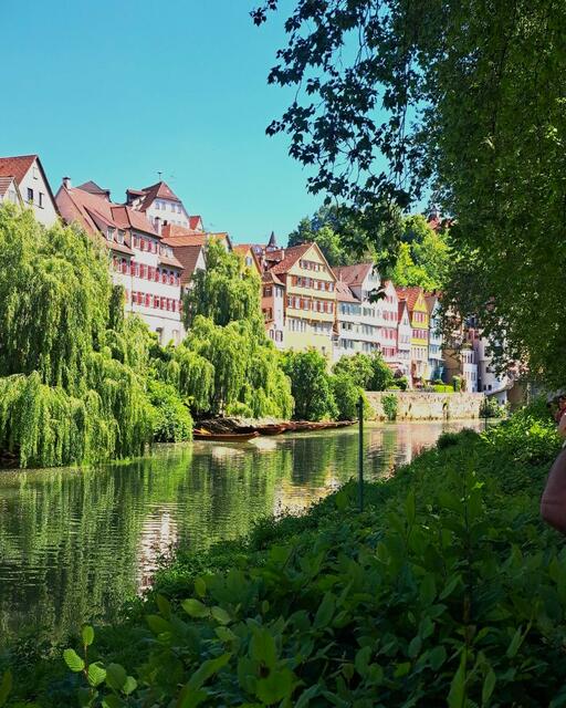 Blick auf die Neckarfront und Platanenallee. | Foto: Isolde Reitz