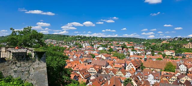 Blick auf Tübingen. | Foto: Isolde Reitz