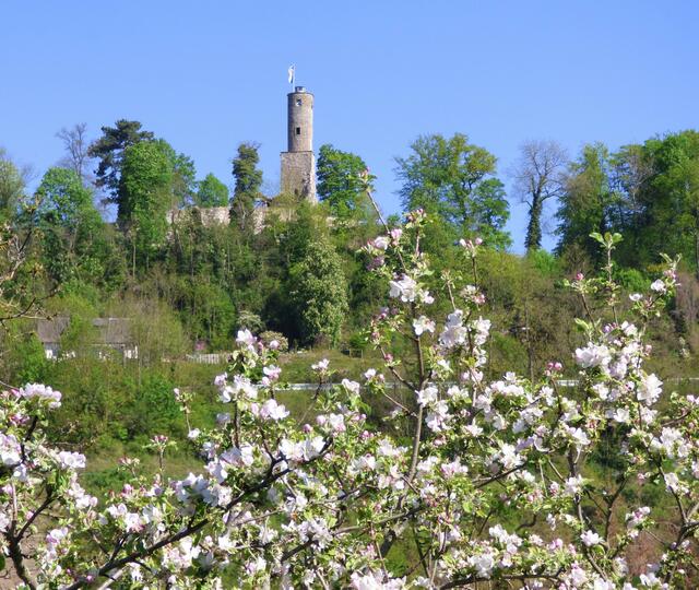 Turm der Burg Löwenstein im Frühling | Foto: sigischlottke