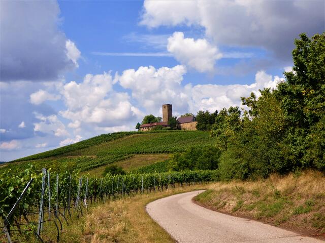 Der Weg führt zu Burg Ravensburg | Foto: sigischlottke