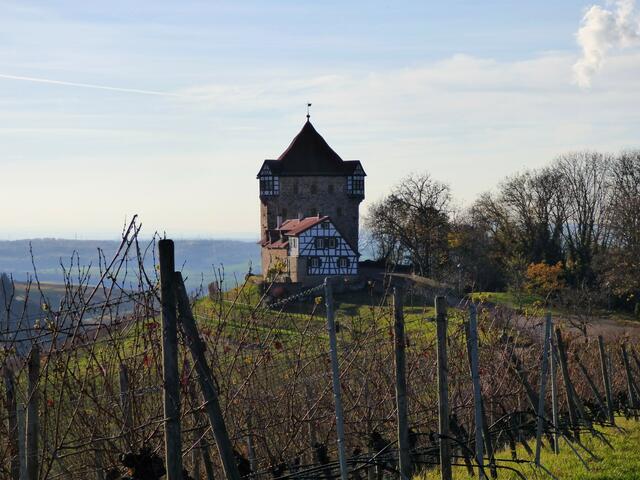 Burg Wildeck | Foto: sigischlottke