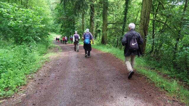 Foto: Eduard Warenik