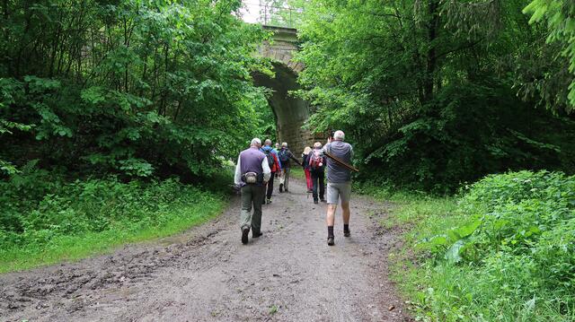 Foto: Eduard Warenik