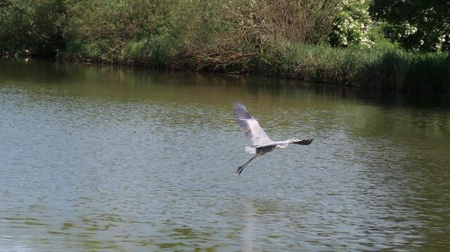 Foto: Eduard Warenik