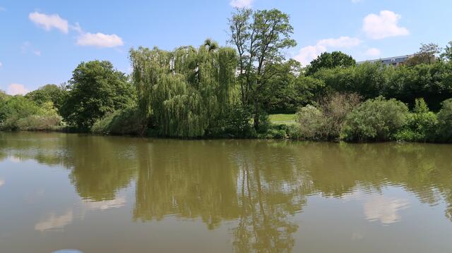 Foto: Eduard Warenik