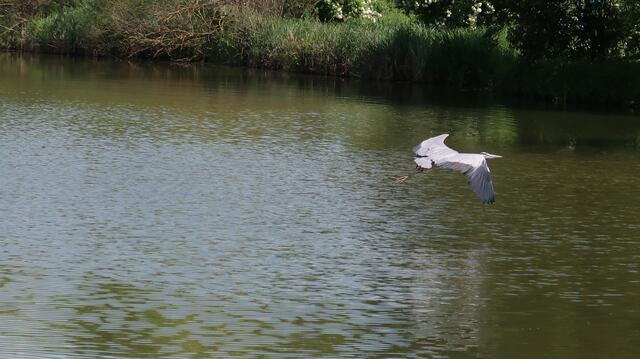Foto: Eduard Warenik