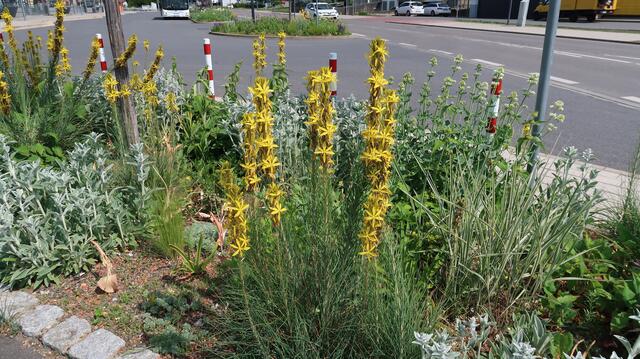 Foto: Eduard Warenik