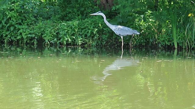 Foto: Eduard Warenik