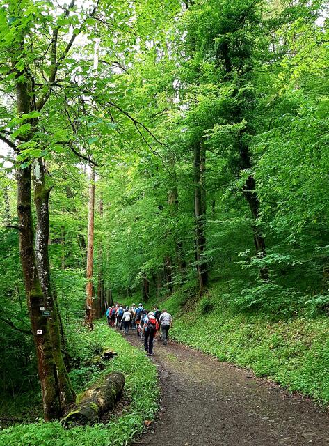 Foto: TSV Untergruppenbach