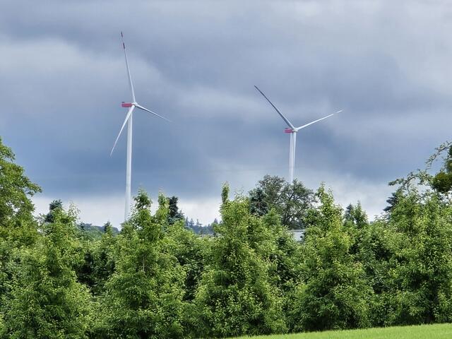 Foto: Heidrun Rosenberger