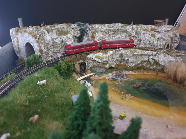 Ein VT in Spur "Z" auf dem Weg zum "Kofferbahnhof"! Man sollte nicht glauben was alles in einem Fotokoffer realisiert werden kann! Den Preis hat sich Irmhild redlich verdient.  | Foto: Irmhild Lehmann