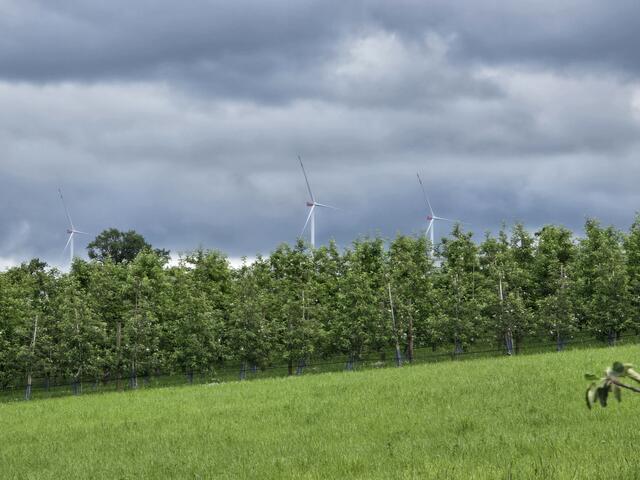 Foto: Heidrun Rosenberger