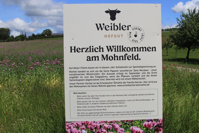 Mohnfeld in Bretzfeld Siebeneich | Foto: Ralf Röser