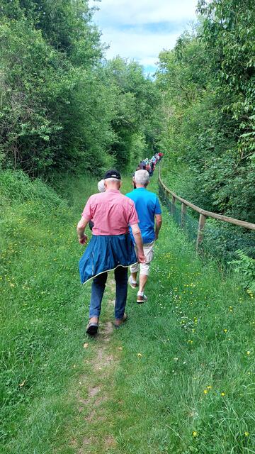 Auf schönem Pfad | Foto: Elfriede Baier 
