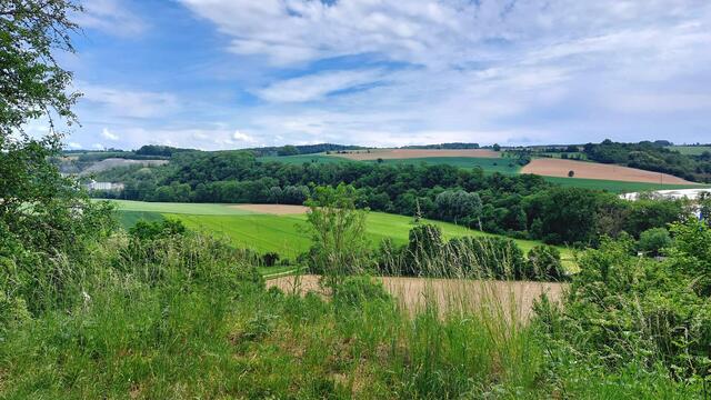 Aussicht ins Jagsttal und zum Steinbruch | Foto: Elfriede Baier 