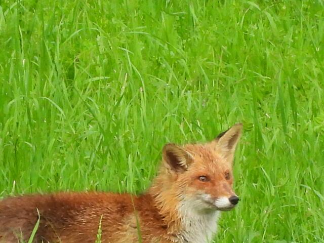 Foto: Helga El-Kothany