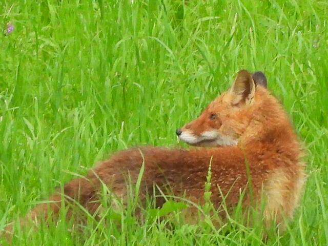 Foto: Helga El-Kothany