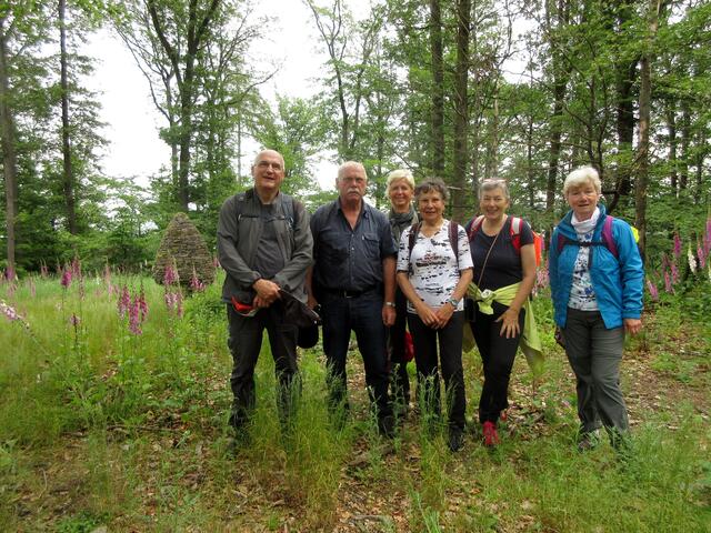 Das Ei ist etwas in Hintergrund gerückt. Doch hier war ein Plätzchen, wo die Dolden nicht so dicht standen | Foto: WandernGabyErich