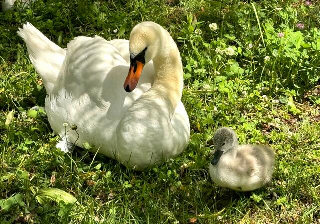 Foto: Heide Böllinger aus Bad Friedrichshall