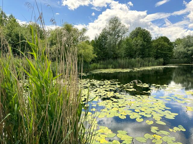 Foto: Heide Böllinger aus Bad Friedrichshall