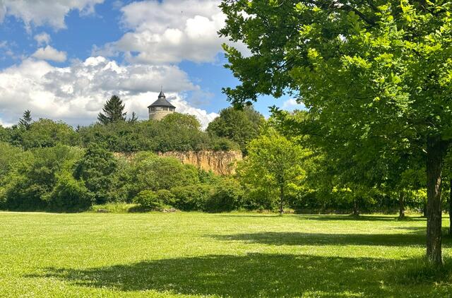 Foto: Heide Böllinger aus Bad Friedrichshall