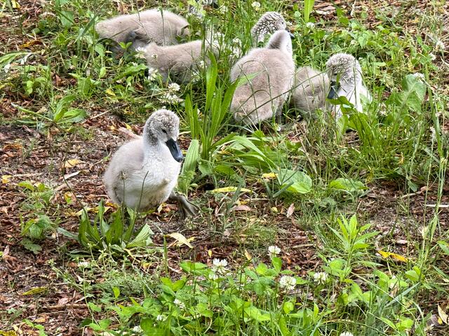 Foto: Heide Böllinger aus Bad Friedrichshall