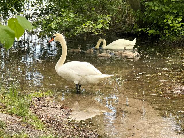 Foto: Heide Böllinger aus Bad Friedrichshall