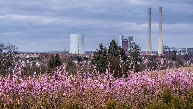 Foto: c uschipohl