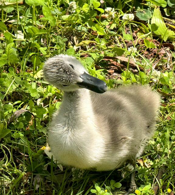 Foto: Heide Böllinger aus Bad Friedrichshall