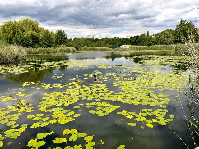 Foto: Heide Böllinger aus Bad Friedrichshall