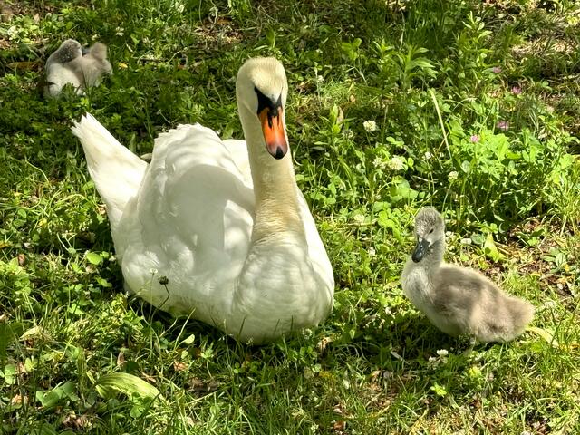 Foto: Heide Böllinger aus Bad Friedrichshall