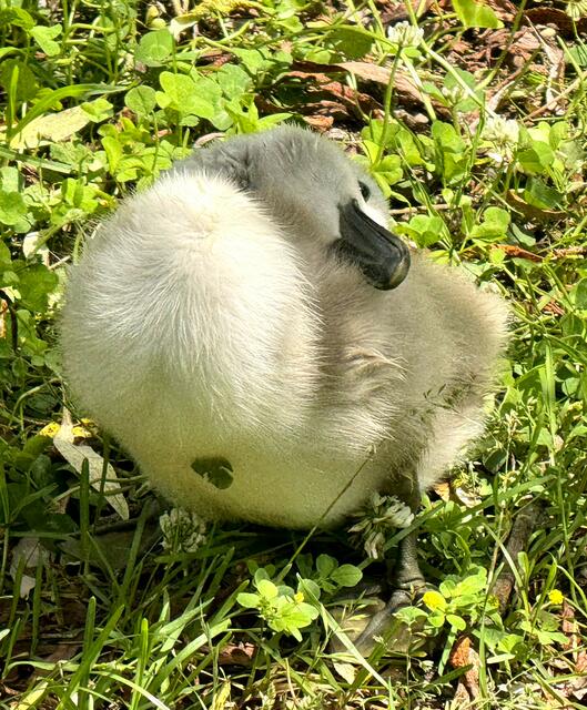 Foto: Heide Böllinger aus Bad Friedrichshall