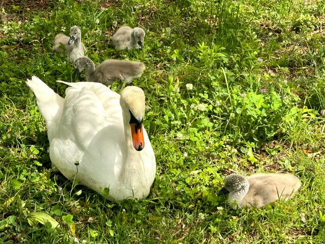 Foto: Heide Böllinger aus Bad Friedrichshall