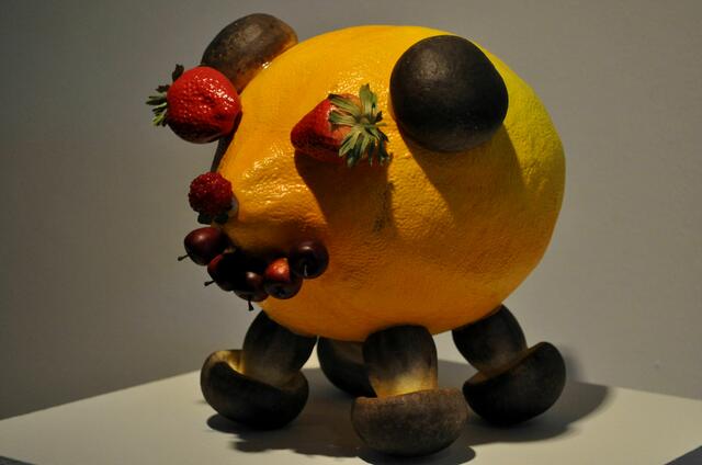 Foto: Daniela Somers