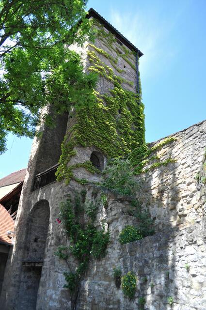 Pulverturm. Der nördliche Wachturm der Stadtbefestigung aus dem 15. Jahrhundert. | Foto: Daniela Somers