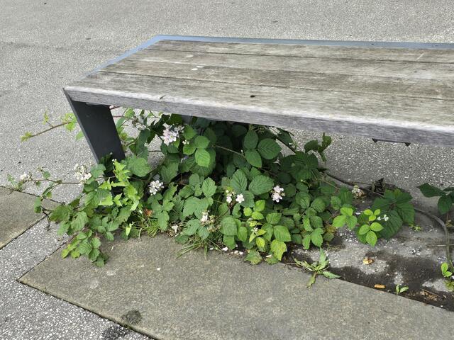 Foto: Heidrun Rosenberger